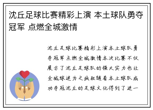 沈丘足球比赛精彩上演 本土球队勇夺冠军 点燃全城激情