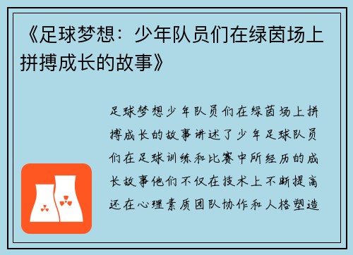 《足球梦想:少年队员们在绿茵场上拼搏成长的故事》