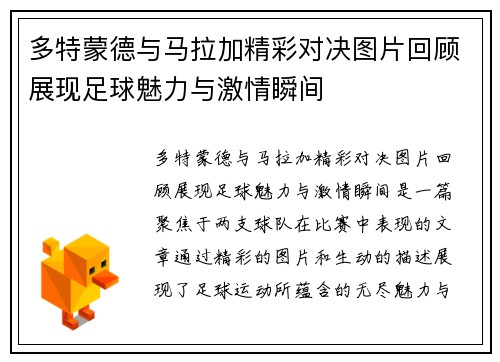 多特蒙德与马拉加精彩对决图片回顾展现足球魅力与激情瞬间
