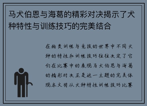 马犬伯恩与海葛的精彩对决揭示了犬种特性与训练技巧的完美结合